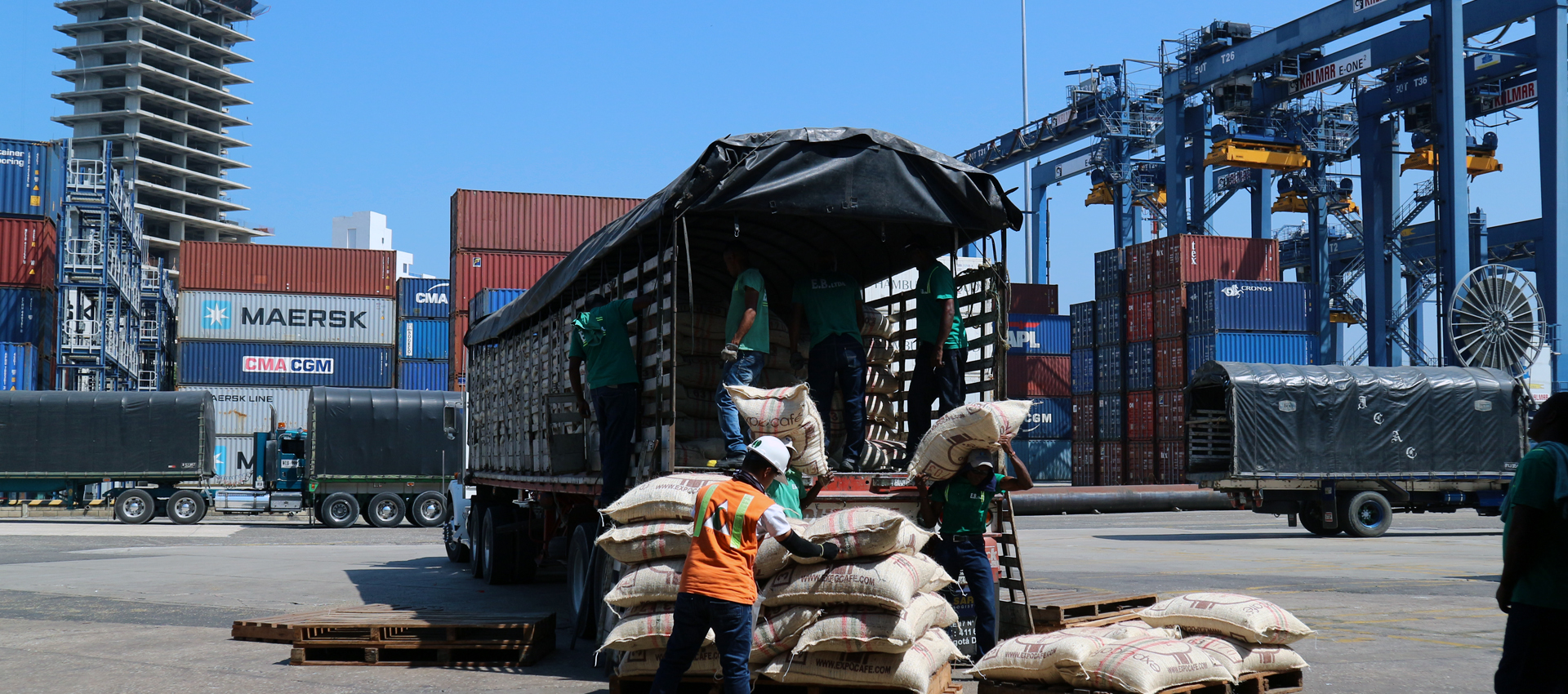 2017101048655833.jpg 2017101048655833.jpg