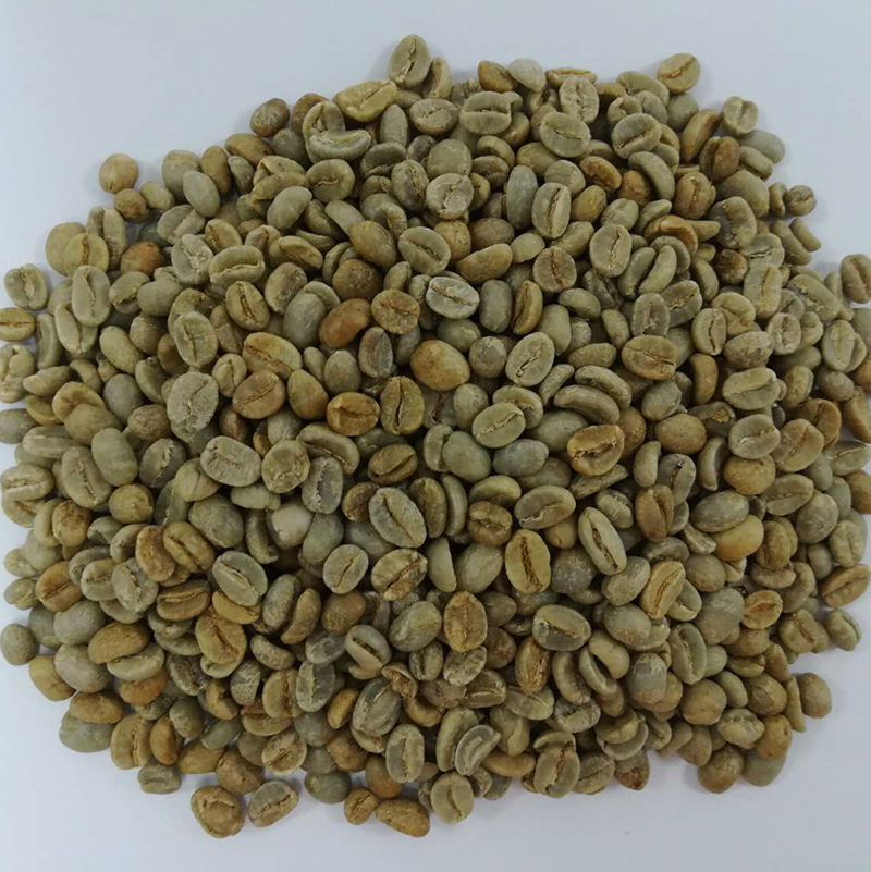 酒香 生豆.jpg 酒香 生豆.jpg