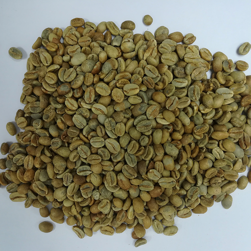 粉波旁 生豆圖.jpg