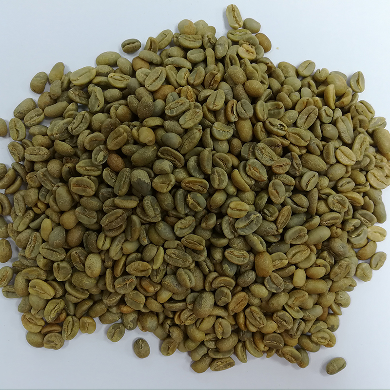 蘇丹汝美 生豆圖.jpg