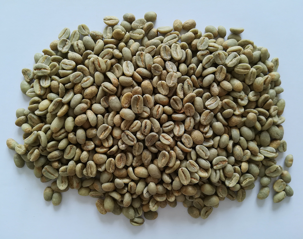 海灘莊園 粉紅波旁 72小時厭氧處理 生豆圖.jpg