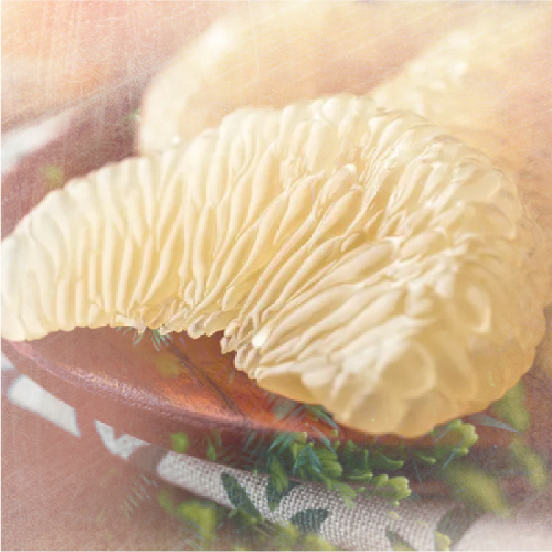 2020.8.17 哈圖莓村 水洗-08.jpg