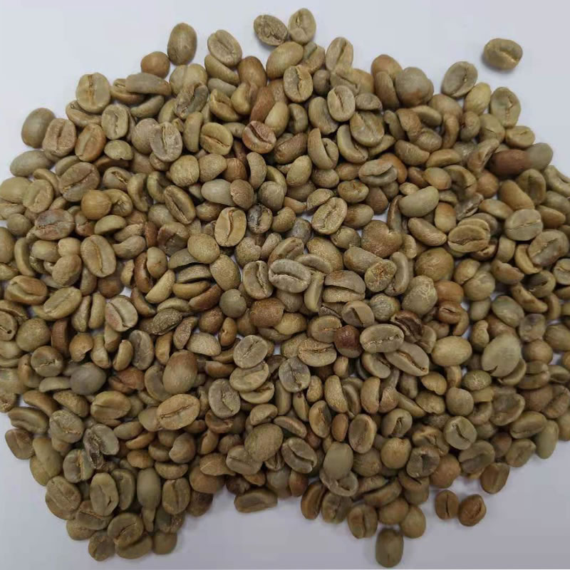 生豆圖.jpg 生豆圖.jpg